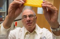 Meet the Boston doctor behind breakthrough nasal vaccine for Alzheimer’s disease